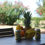 Magnifique Studio Anse Marcel Saint Martin