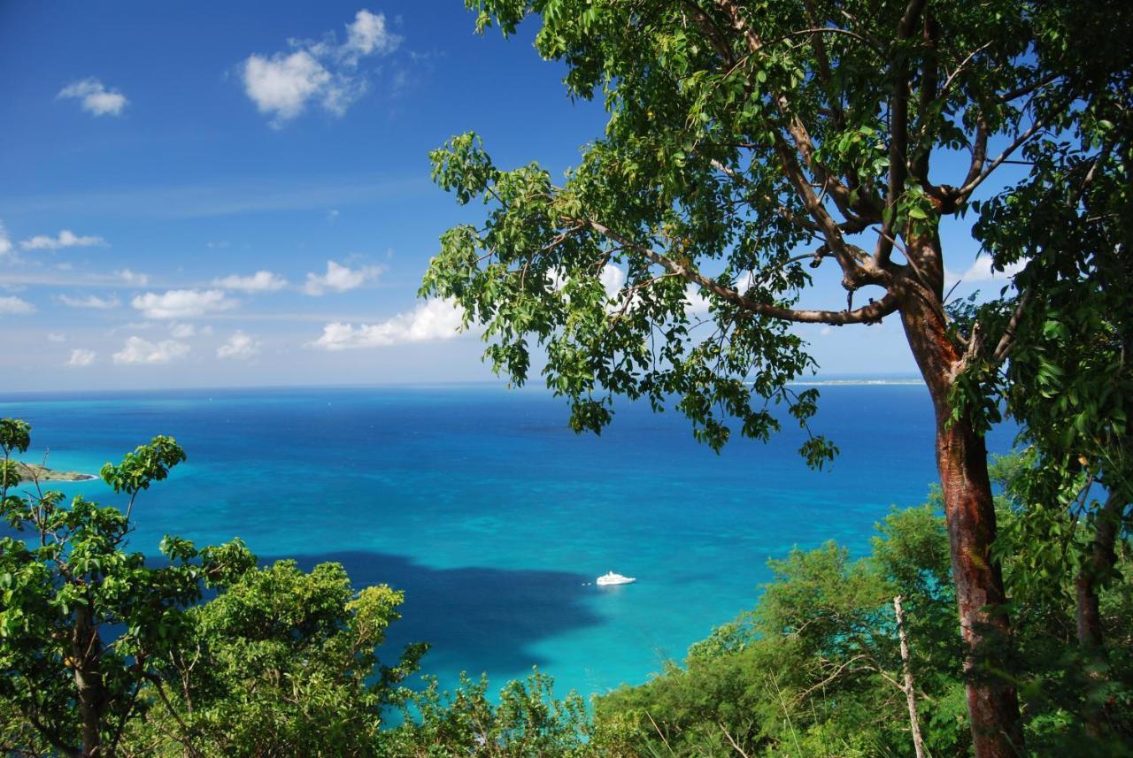 Apartment Magnifique Studio Anse Marcel *