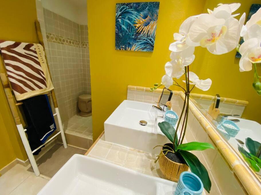 Bosecret Superbe Sur La A Piscine New Apartment