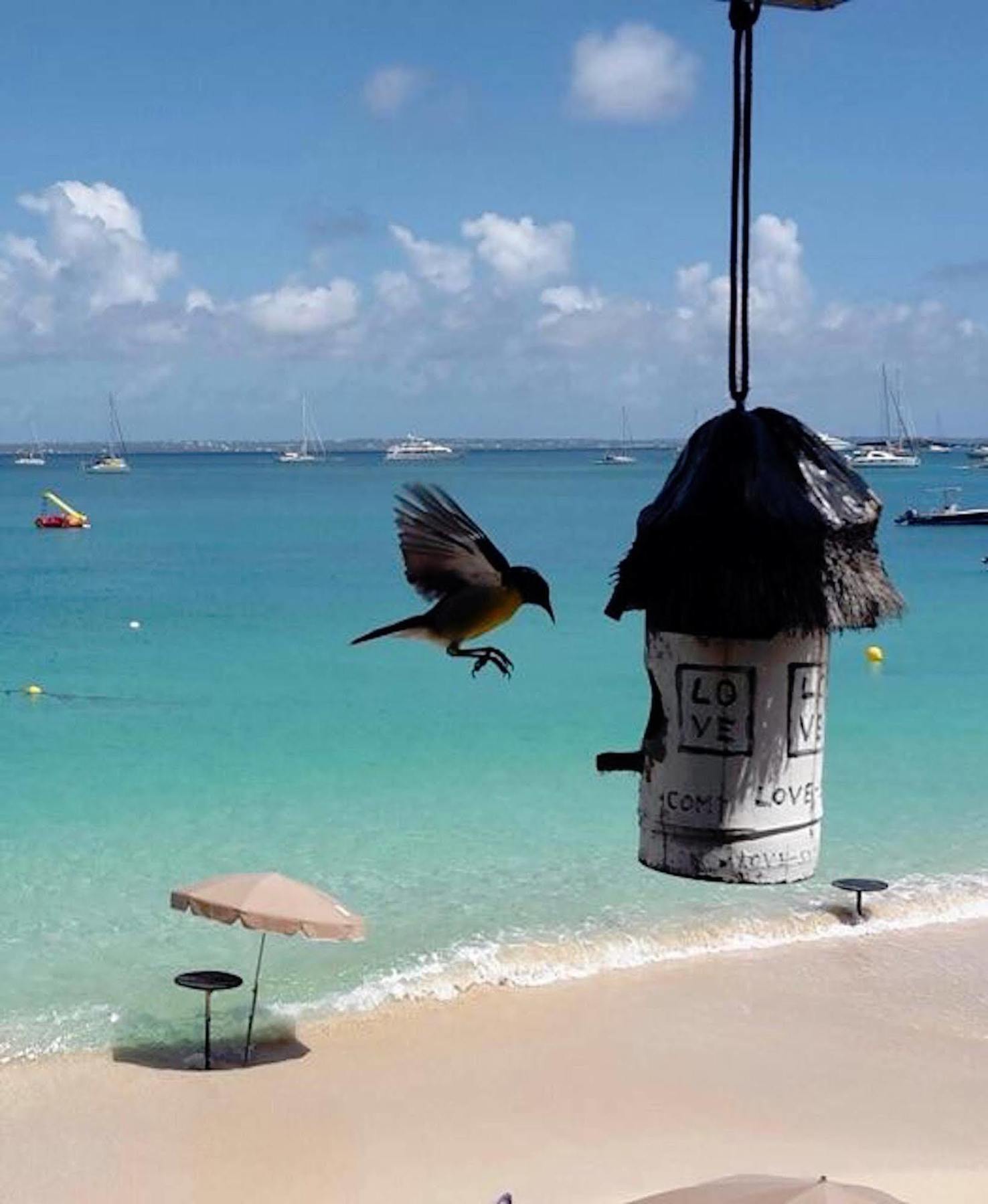 Love Hotel Hotel Saint Martin
