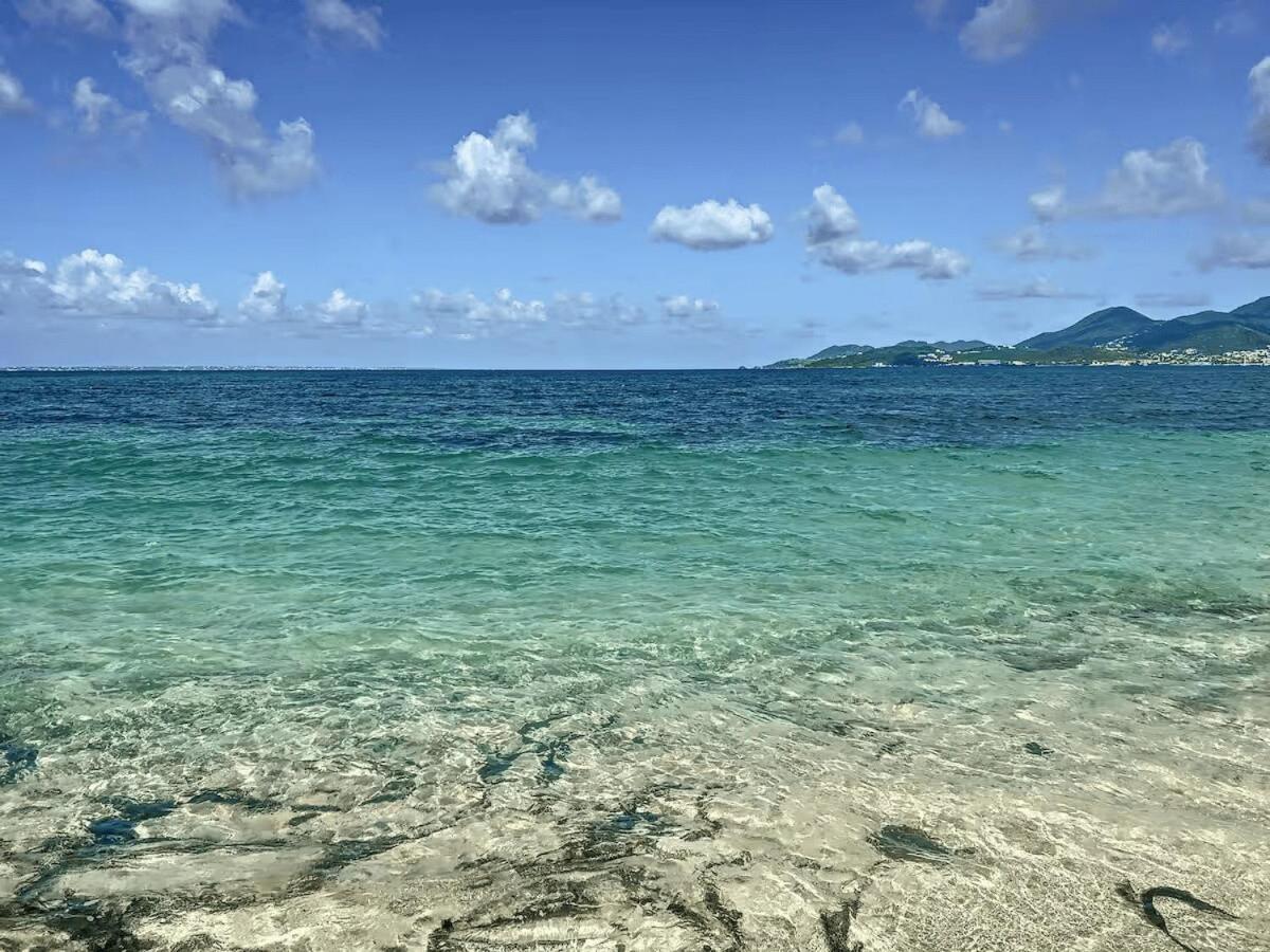 Apartment La Bleue, Les Pieds Dans L'eau Avec Piscine