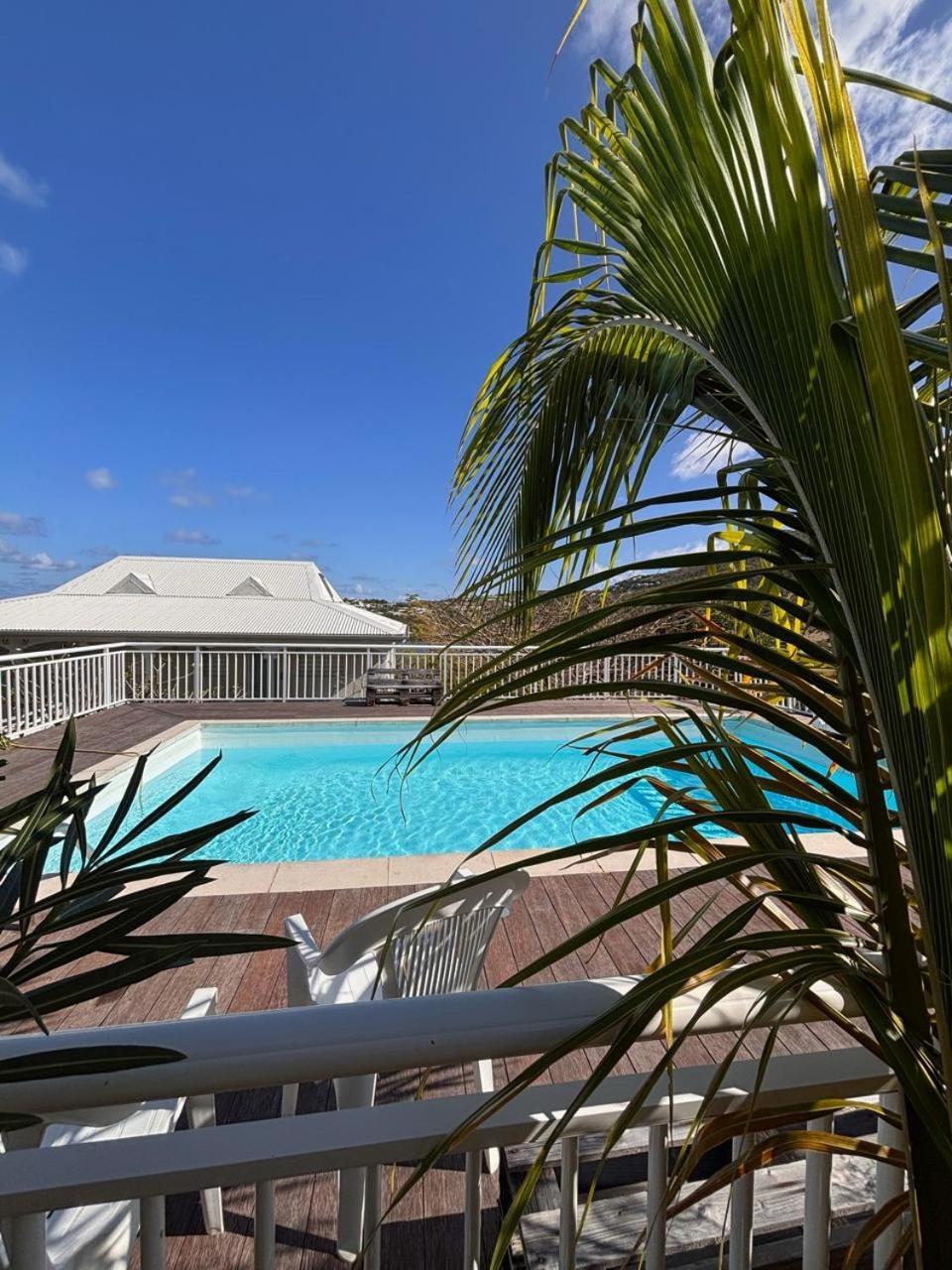Vue Avec Piscine *