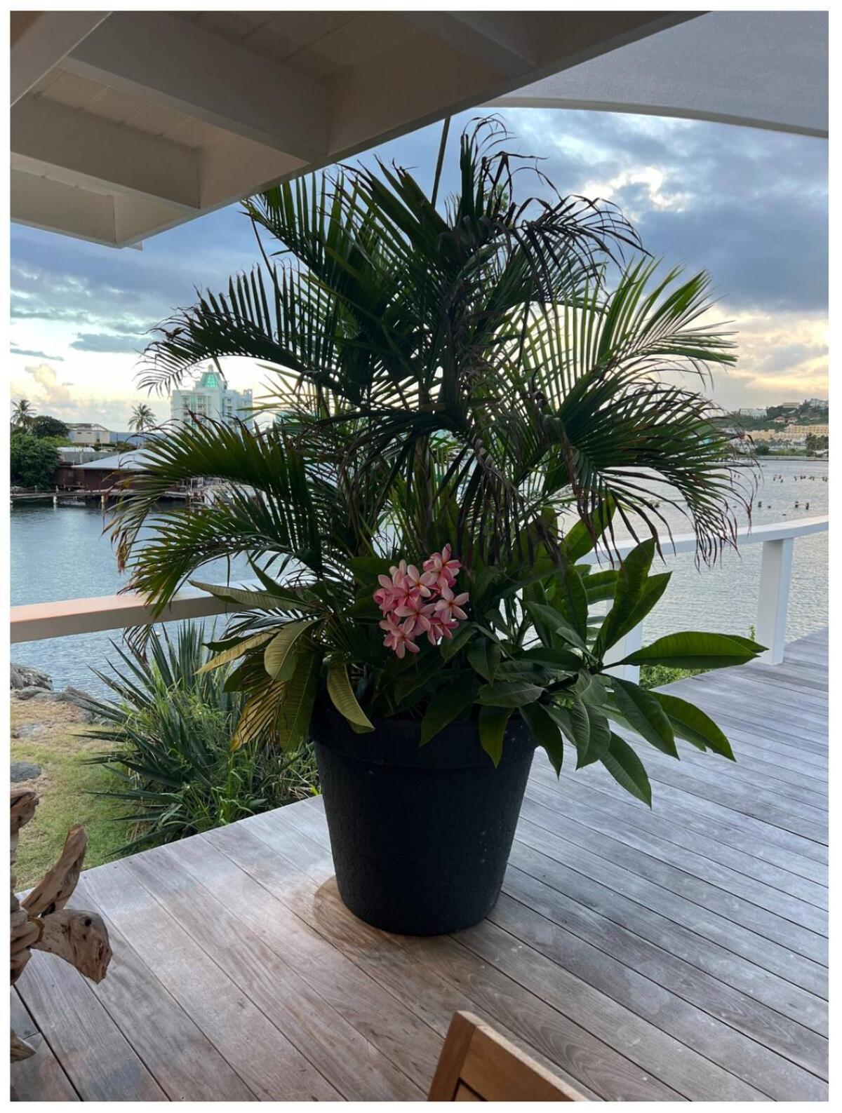 Les Balcons Oyster Pond Brise De Holiday home