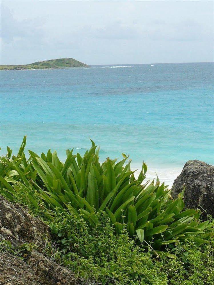Hotel Blue Bay Beach 3*